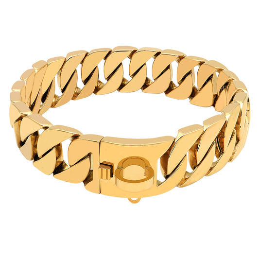 Collier pour Chien en Acier Inoxydable – Chaîne Moulée Premium