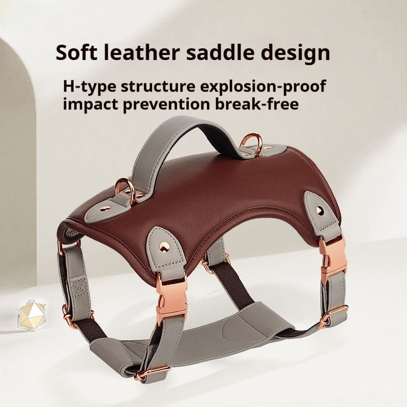 Harnais Vest Poitrine pour Chien de Taille Moyenne à Grande — M, L & XL