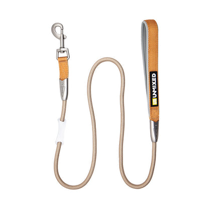 Set Harnais Poitrine & Laisse Bicolore pour Chien — Nylon | S, M & L
