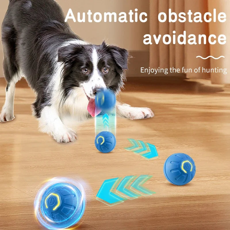 Balle Interactive Intelligente pour Chien & Chat — Rechargeable USB