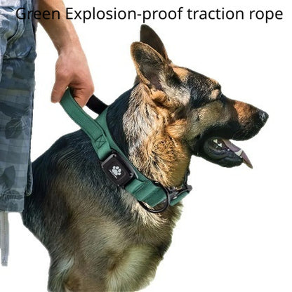 Collier Tactique Ajustable pour Grand Chien — Anti-Fugue