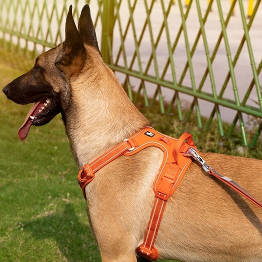 Harnais Réfléchissant avec Laisse pour Chien — Polyester | XS à XL