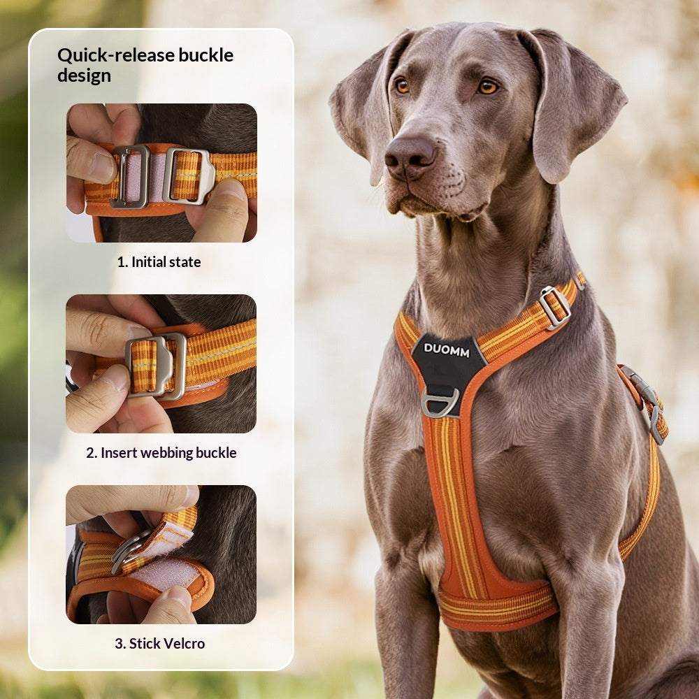 Harnais Réfléchissant Résistant pour Chien — Collier & Laisse Inclus