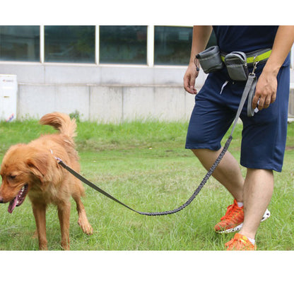 Laisse Mains Libres Ajustable pour Chien