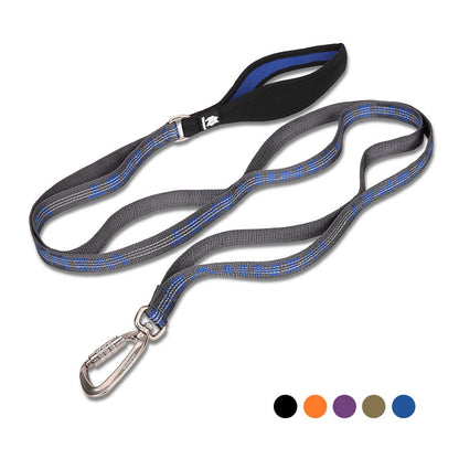 Laisse Nylon Bicolore pour Chien — Tailles M & L