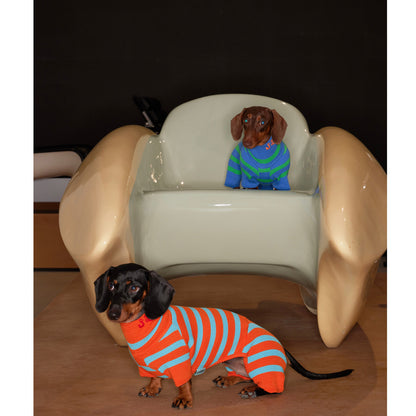 Pull Tricoté Bicolore pour Chien – Laine Stretch 4 Pattes