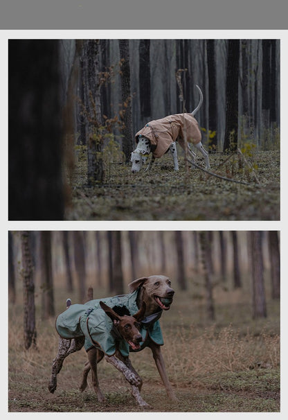 Veste Softshell Outdoor pour Chien – Imperméable, Coupe-Vent & Chaude