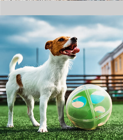Coffret Jouets Anti-Stress pour Chien – Balle Labyrinthe, Distributeur & Sonore