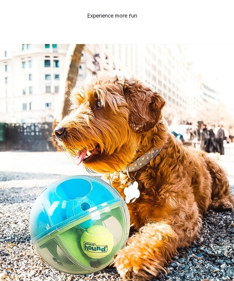 Coffret Jouets Anti-Stress pour Chien – Balle Labyrinthe, Distributeur & Sonore