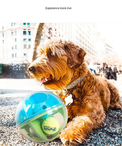 Coffret Jouets Anti-Stress pour Chien – Balle Labyrinthe, Distributeur & Sonore