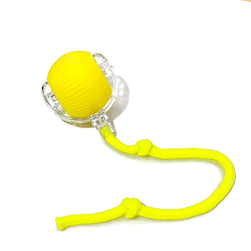 Balle Interactive Intelligente pour Chat & Chien — 3 Modes, Capteur & Recharge Rapide