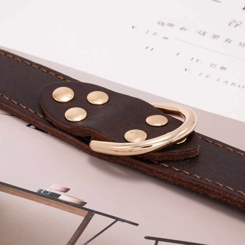 Collier en Cuir Marron pour Chien — Ajustable S, M, L