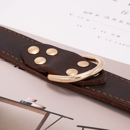 Collier en Cuir Marron pour Chien — Ajustable S, M, L