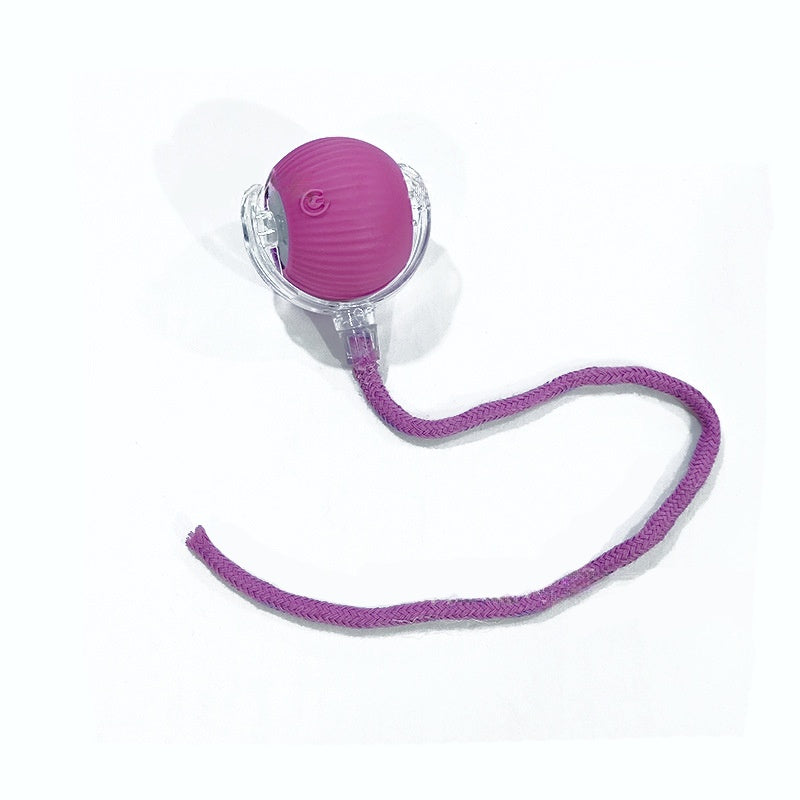 Balle Interactive Intelligente pour Chat & Chien — 3 Modes, Capteur & Recharge Rapide