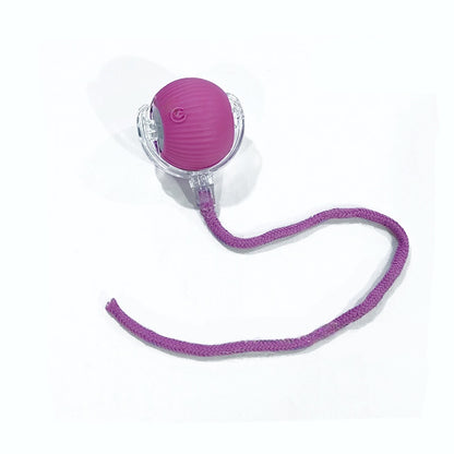 Balle Interactive Intelligente pour Chat & Chien — 3 Modes, Capteur & Recharge Rapide