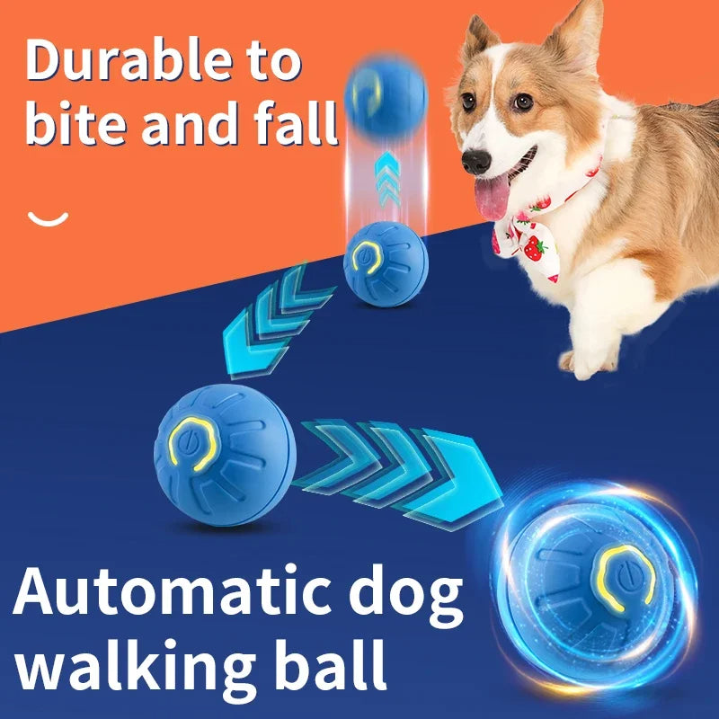 Balle Interactive Intelligente pour Chien & Chat — Rechargeable USB