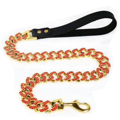 Chaîne Acier Inoxydable Multicolore pour Chien — Collier & Laisse