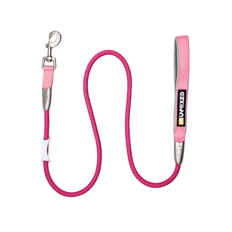 Set Harnais Poitrine & Laisse Bicolore pour Chien — Nylon | S, M & L