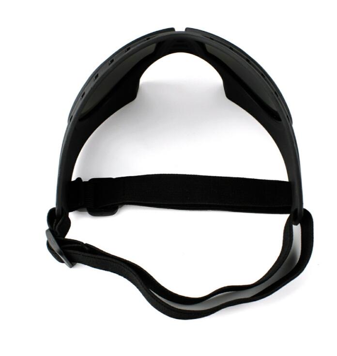 Lunettes de soleil pour chiens – Protection UV (taille L)