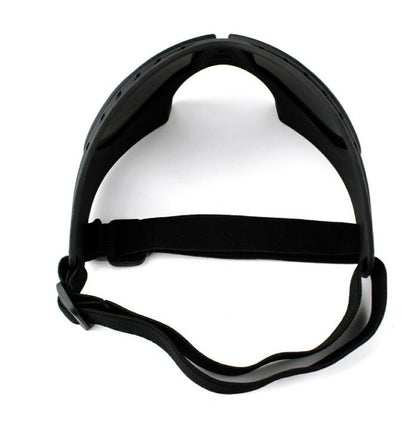 Lunettes de soleil pour chiens – Protection UV (taille L)