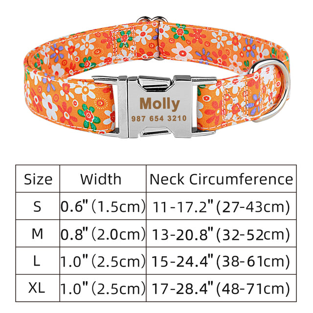 Collier Personnalisé pour Chien avec Plaque d'Identification Gravée