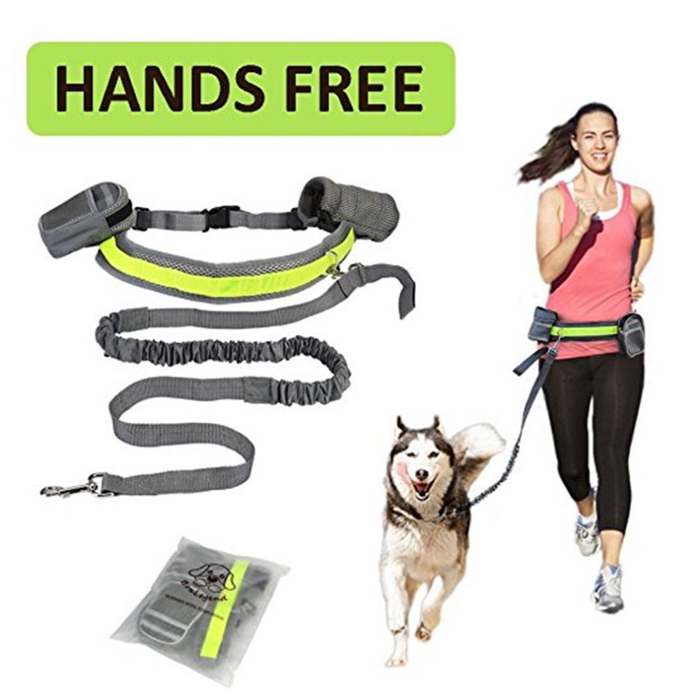 Laisse Mains Libres Ajustable pour Chien