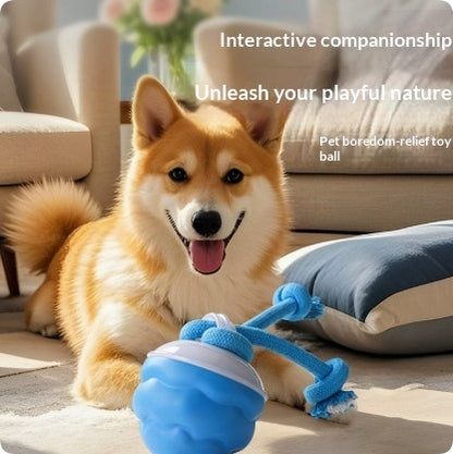 Balle Intelligente Rechargeable pour Chien — Mouvement Automatique