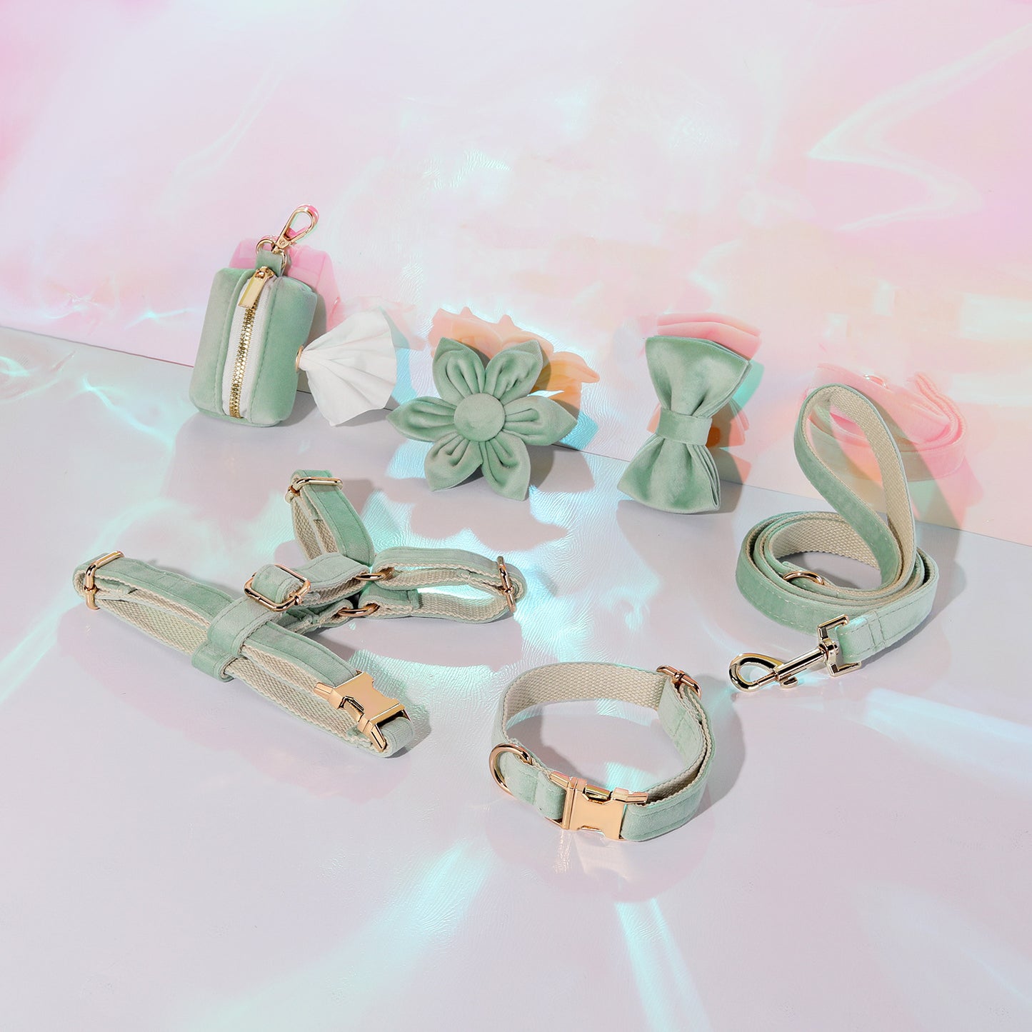 Set 6 Pièces Velours pour Chien — Collier, Laisse, Harnais, Nœud Papillon & Fleur