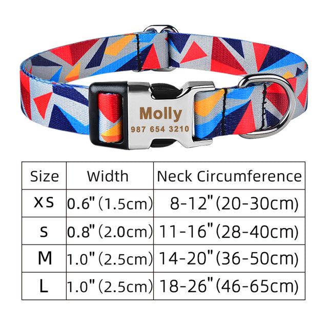 Collier Personnalisé pour Chien avec Plaque d'Identification Gravée