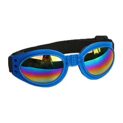 Lunettes anti-vent pour chiens – Idéales pour photos & sorties