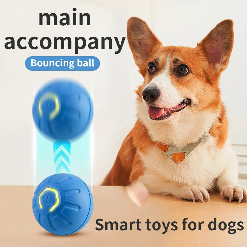 Balle Interactive Intelligente pour Chien & Chat — Rechargeable USB