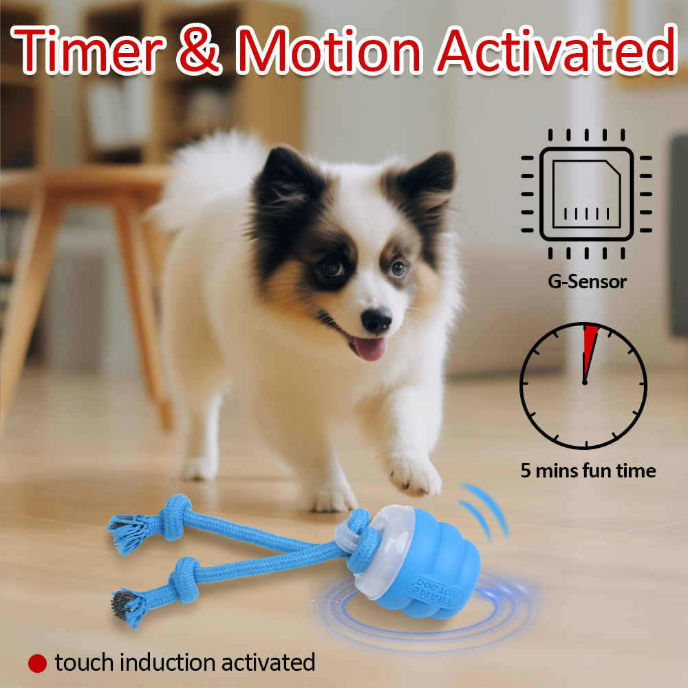 Balle Électrique avec Laisse Intégrée pour Chien – Petites et Moyennes Races