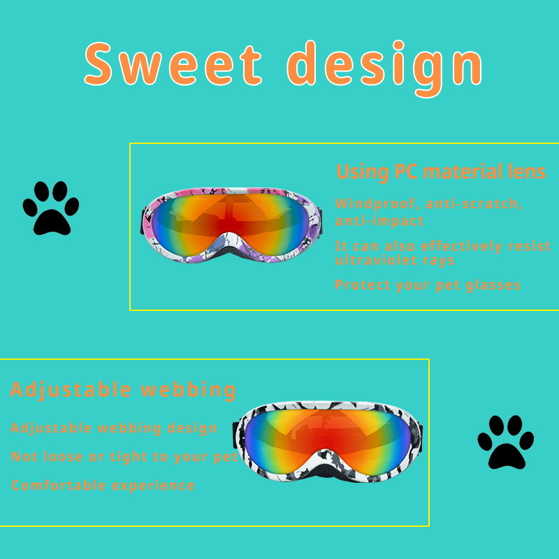 Lunettes de soleil pour chats – Anti-vent & tendance