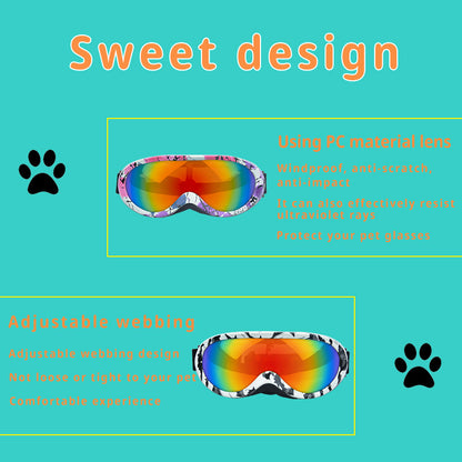 Lunettes de soleil pour chats – Anti-vent & tendance