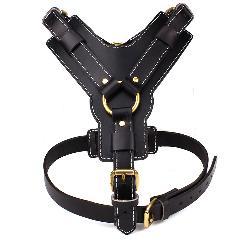 Harnais Poitrine en Cuir de Vache pour Chien — M & L