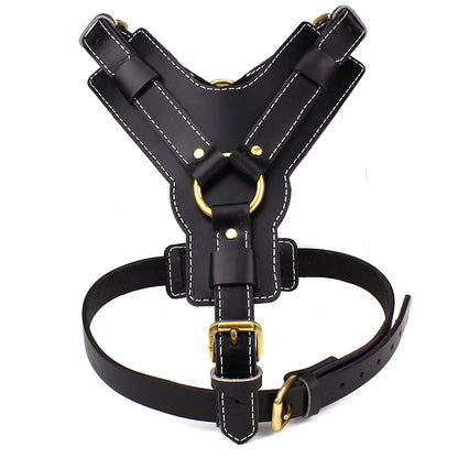 Harnais Poitrine en Cuir de Vache pour Chien — M & L