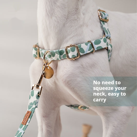 Harnais Poitrine Anti-Traction Outdoor pour Chien — S, M & L | Motifs Nature