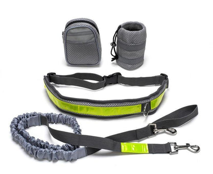 Laisse Mains Libres Ajustable pour Chien