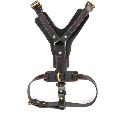 Harnais en Cuir Véritable avec Laisse pour Chien — Protection 360°