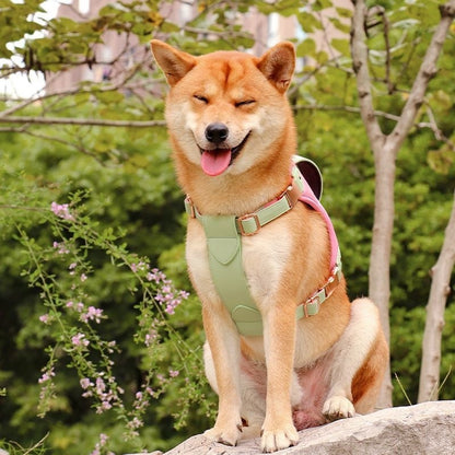 Harnais Vest Poitrine pour Chien de Taille Moyenne à Grande — M, L & XL