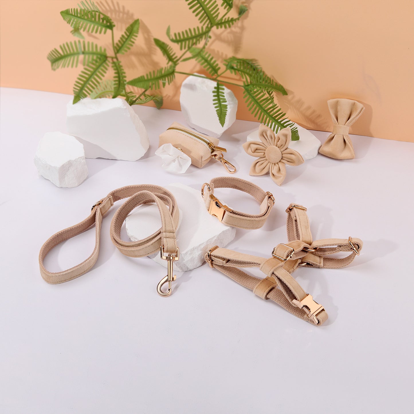 Set 6 Pièces Velours pour Chien — Collier, Laisse, Harnais, Nœud Papillon & Fleur