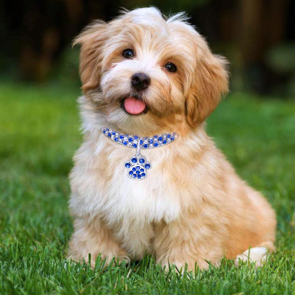 Collier Strass Élastique pour Chat et Chien