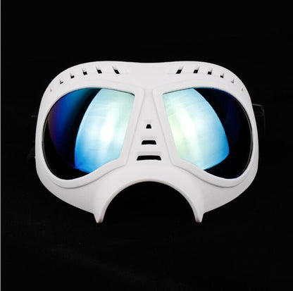 Lunettes de soleil pour chiens – Protection UV (taille L)