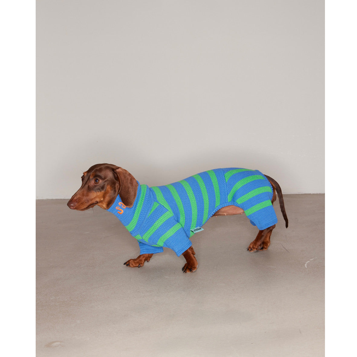Pull Tricoté Bicolore pour Chien – Laine Stretch 4 Pattes