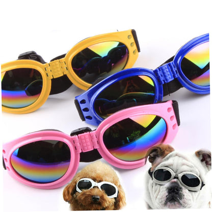Lunettes anti-vent pour chiens – Idéales pour photos & sorties