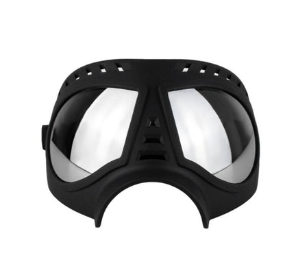 Lunettes de soleil pour chiens – Protection UV (taille L)