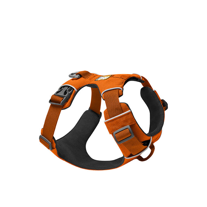 Laisse Harnais Nylon Poitrine & Dos pour Chien — Multicolore