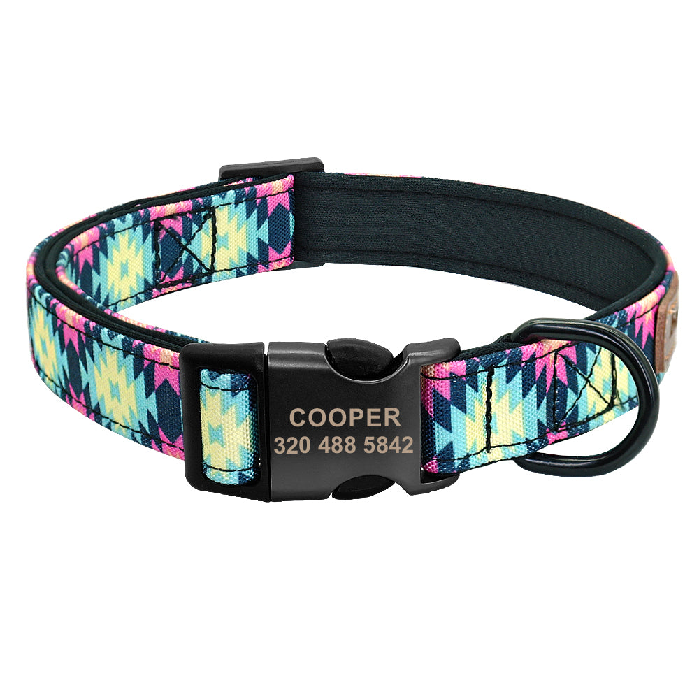 Collier en Nylon Coloré pour Chien — Basic & Confortable