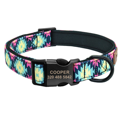 Collier en Nylon Coloré pour Chien — Basic & Confortable