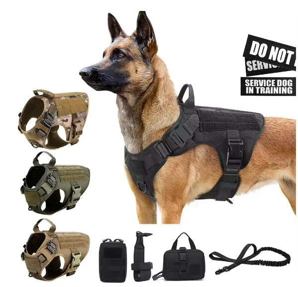 Set Harnais Tactique Premium + Laisse pour Chien — Nylon 1000D